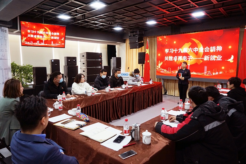 ZOBO绿巨人app入口二维码党支部丨开展“学习贯彻党的十九届六中全会精神”主题党日活动
