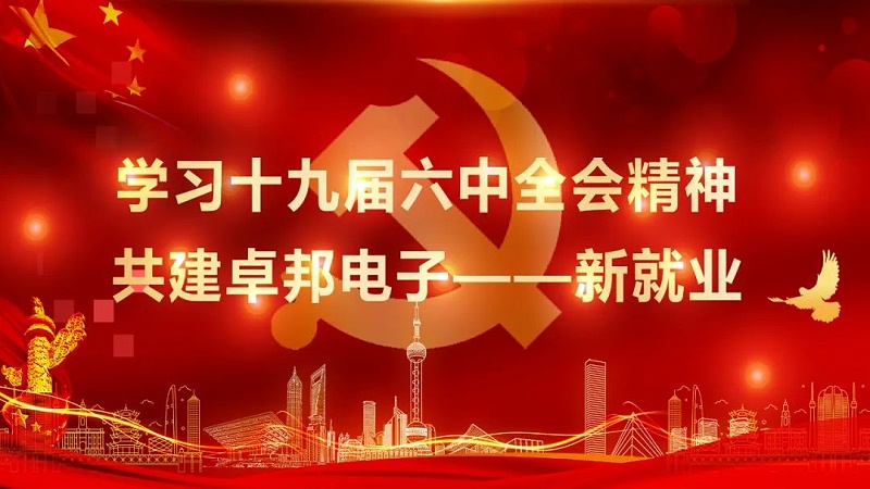 ZOBO绿巨人app入口二维码党支部丨开展“学习贯彻党的十九届六中全会精神”主题党日活动