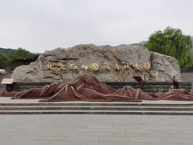 “缅怀先烈 传承初心”—ZOBO绿巨人app入口二维码党支部参观无名英雄纪念碑活动