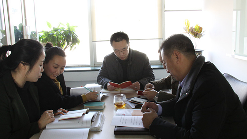 中共北京绿巨人app入口二维码电子技术有限公司支部委员会成立